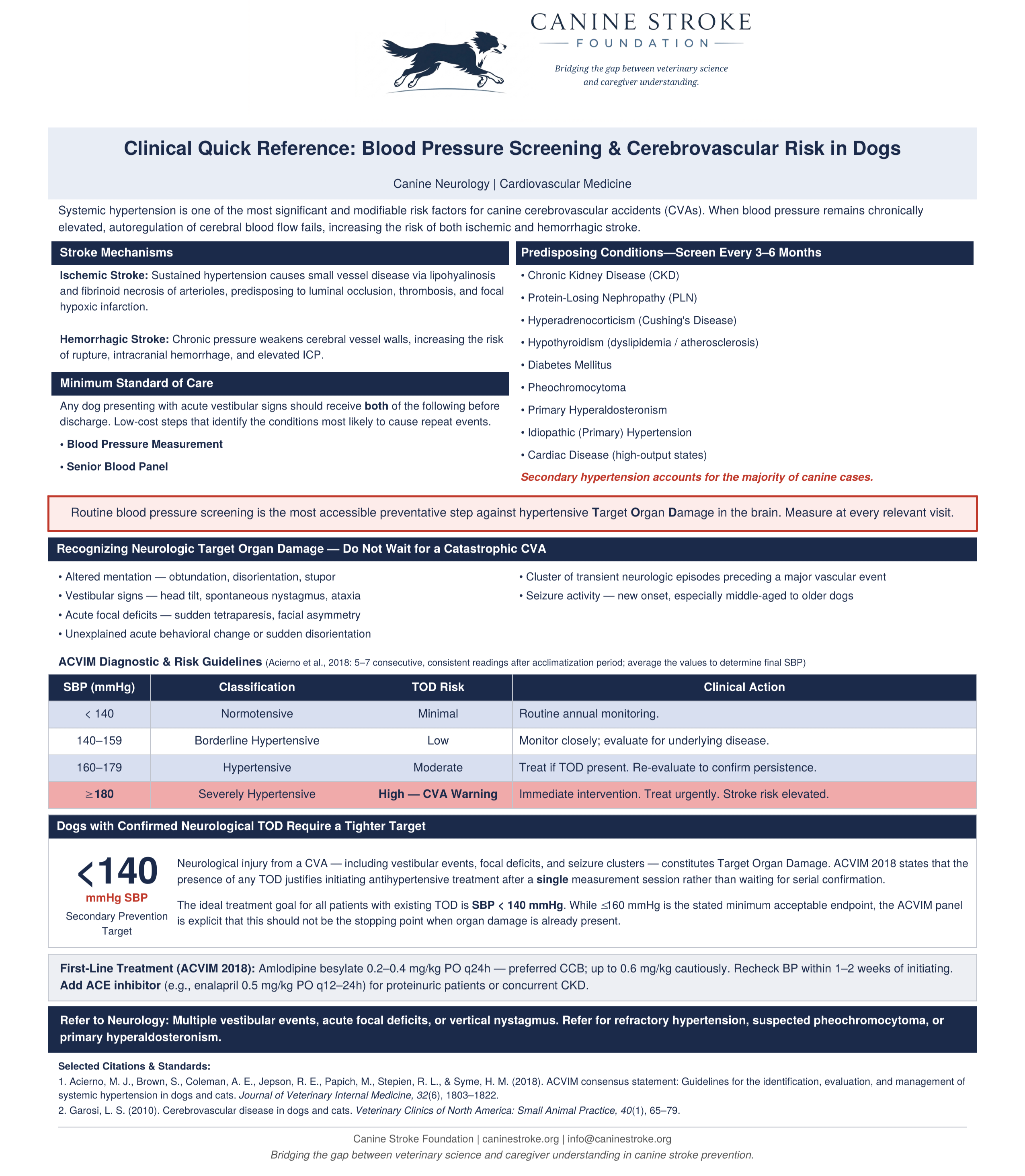 Clinical Quick Reference: Blood Pressure Screening and Cerebrovascular Risk in Dogs - handout preview